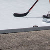 Hockey Puck Stopper Edging